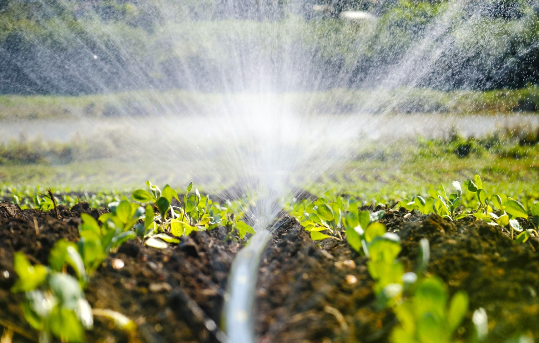 agricultural-irrigation