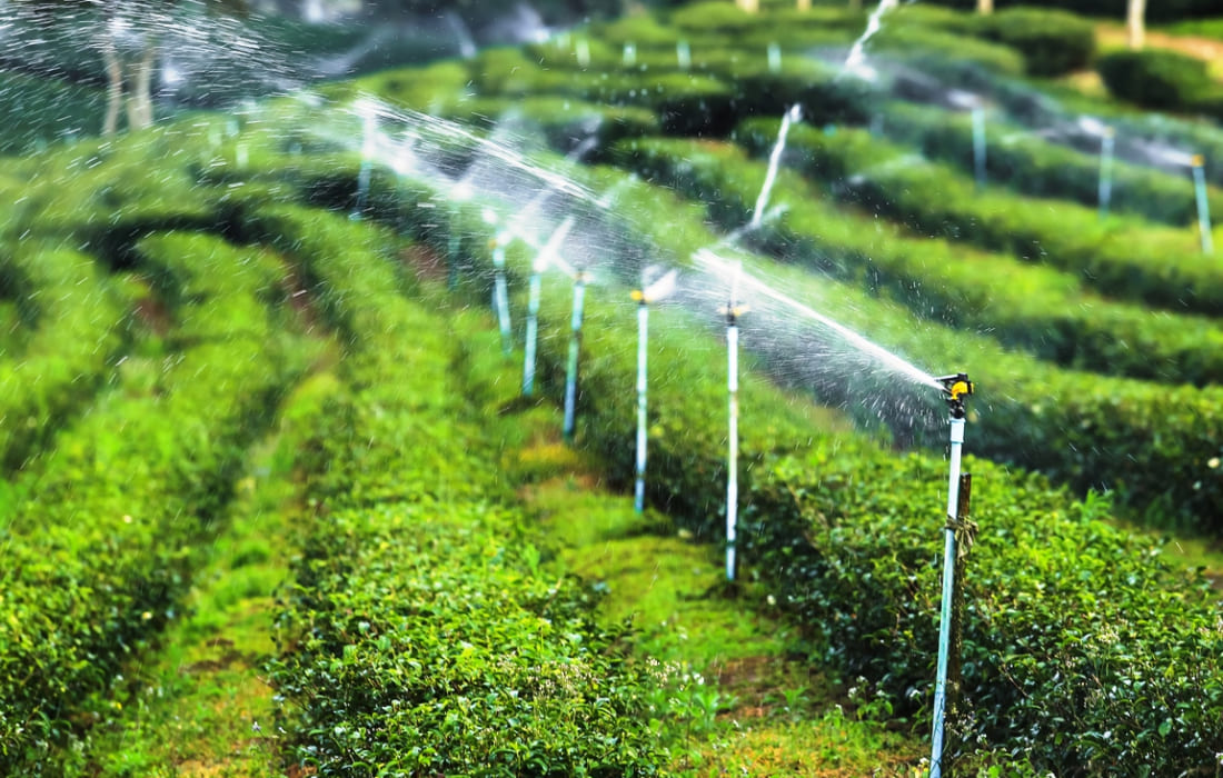 design-technical-irrigation-service